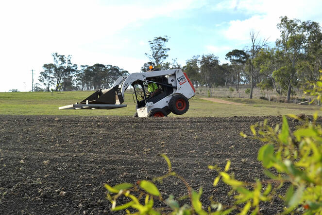 bobcat clearing agricultural land